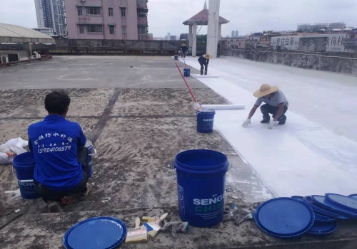 荔灣區南方茶葉市場屋面防水